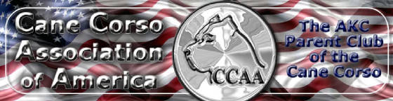 ccaa_banner.jpg